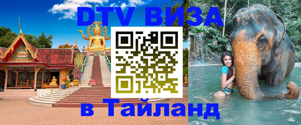 Сколько стоит DTV виза — актуальные цены, оформление даже без документов - 06.12.2025 